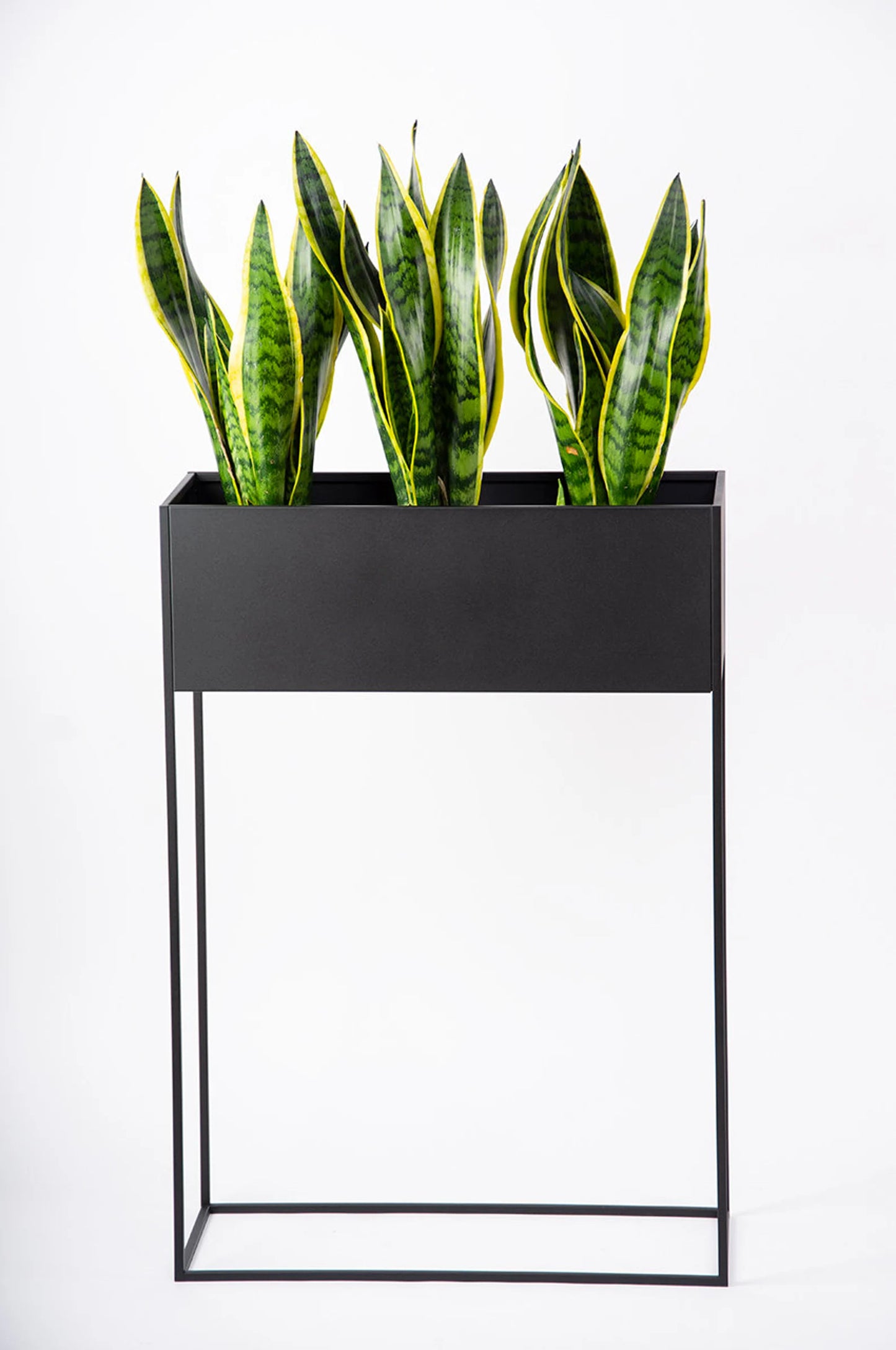 Bailey XL Planters